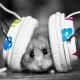 ced57dj