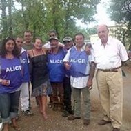 alice association alice