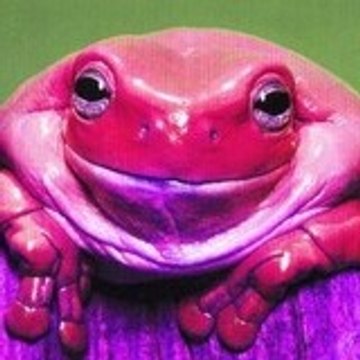 Lucie La Grenouille