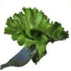 chfdotcom