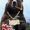 BLUE BEARB