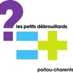 Amédé Brouillards