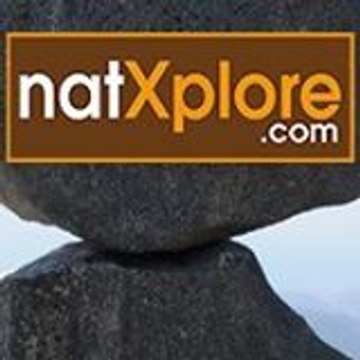 Natxplore