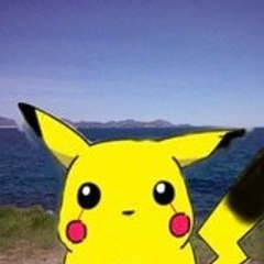 X THE PIKA X Chef
