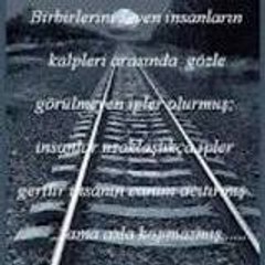 aRaPsHoDy