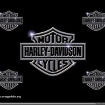 Profil DailyMotion de l&rsquo;utilisateur patch