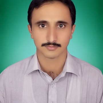 Saleem Taunsvi