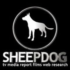 sheepdogtv