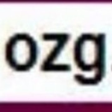 Ozginternship