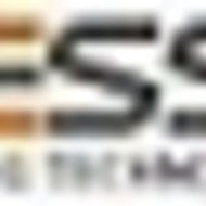 Desss Inc