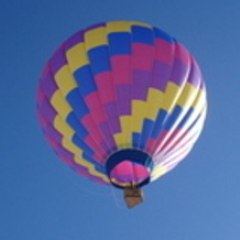 flydelmarva
