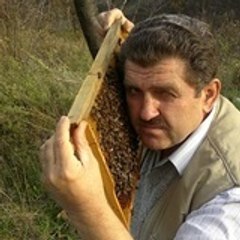 Efraim Korkut