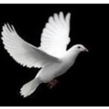 ChristianSongs