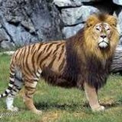 khitab