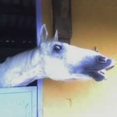 KeRRia II
