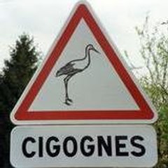 Vincent-hervé Guerrouan