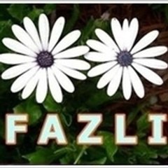 Fazlı Paydaş