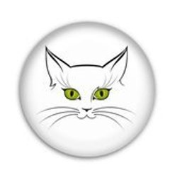 Tom Lechat
