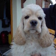 Elisabeth Yorkshire elisabeth