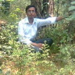 Safdar Hussain
