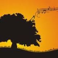 Wombman's Song