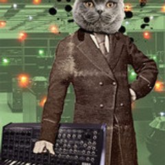 Electronic Emotions