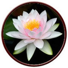 sukotaimassage1