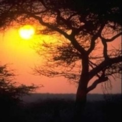Dreamtree-entertainment