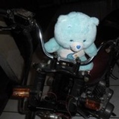 cesarauny
