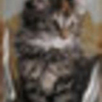 Djinny24