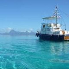 nemocruises
