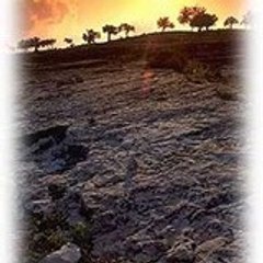 Rivo Mahaleo RAJAONARIFETRA
