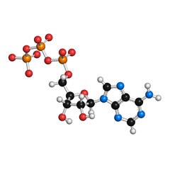 La ciencia de las adicciones
