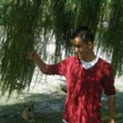 Soner Demir