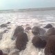 Partha Mandal