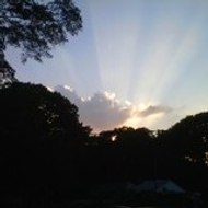 treehuggerpublishing