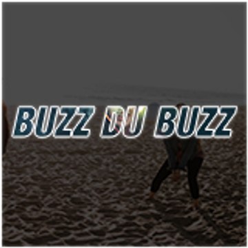 Buzz Du Buzz