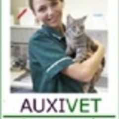 AuxiVet