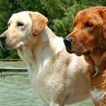 Chochi Lopez Martinez