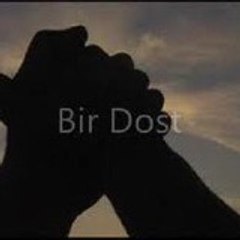 birdost23