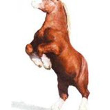 Maxime Le Pottier