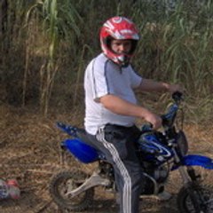 pitdingo
