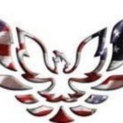 TEAMFIREBIRD