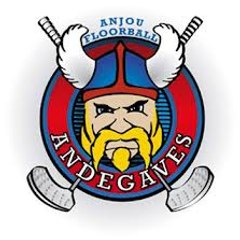 Andégaves d'Anjou Floorball