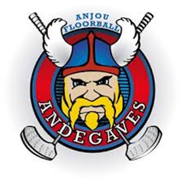 Andégaves d'Anjou Floorball