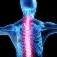 Chiropractorintampaflusa