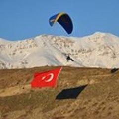 Halil
