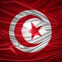 Freetunisian Libre