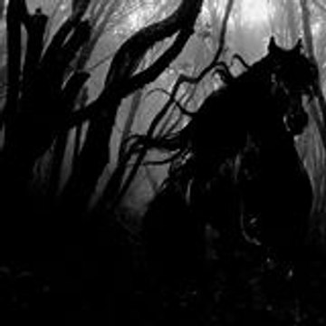 Le Tigrex Noir