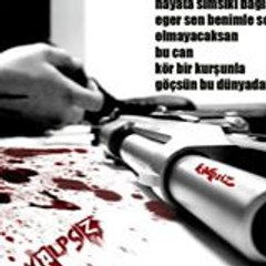 Hava Ormancı